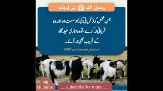 #Hajj Mubarak #Eid Mubarak #Islamic State #information #must watch#qurbani