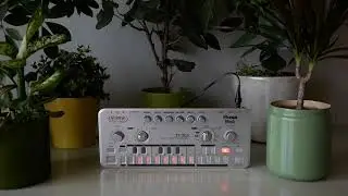 Snot Monkey - Acid 119 (Cyclone Analogic TT-303)