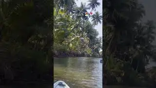 Best kayaking in Goa , cola beach south goa 📍#goa #kayaking #vacation #goadiaries #trip #basiclife
