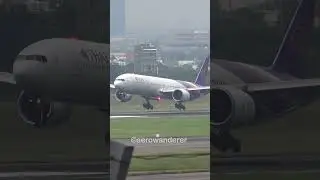 THAI AIRWAYS B777-300ER landing at Taipei Airport #shorts #plane #b777 #taipei #landing #aviation