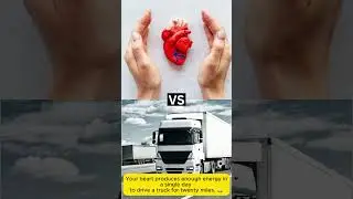 Your Heart is More Powerful Than You Think ❤️ | Inspire & Learn
