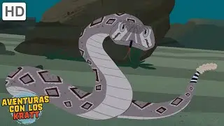 Reptiles | Cocodrilos, lagartos, serpientes + más! [episodios completos] Aventuras con los Kratt