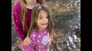 Fun in the Brook
