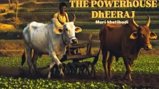 sukhvinder Singh and shadab faridi  || (slowed And Reverb and fitness) Haryanvi song 