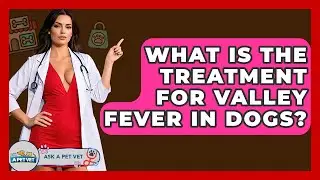 What Is The Treatment For Valley Fever In Dogs? - Ask A Pet Vet