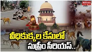 Supreme Court Serious On Street Dog Issue | వీధికుక్కల కేసులో సుప్రీం సీరియస్.. | Mahaa News