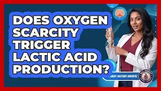 Does Oxygen Scarcity Trigger Lactic Acid Production?