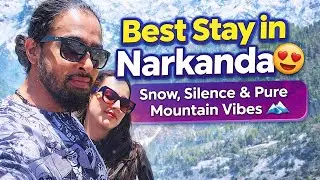 Best Stay in Narkanda 😍 | Snow, Silence & Pure Mountain Vibes 🏔️