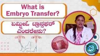 What is embryo transfer? | Progesterone supplements | Endometrium thickness | Painless procedure