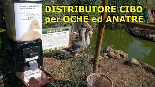 DISTRIBUTORE CIBO per OCHE ed ANATRE per city park, avvertimento contro il pane di alimentazione.