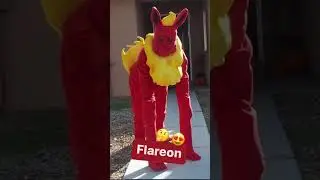Pok&eacute;mon Costume Ideas 😍