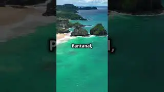 Top 5 Natural Wonders of Brazil!