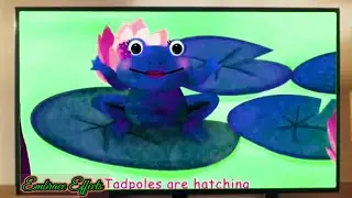 Numbers Songs ~ Tadpoles Are Hatching Let's Keep Counting 61-70 Compilation/Sponsored By Preview2Eff