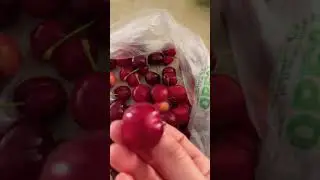 Sensual Exploration with Ava, Day 8: Taste {cherries} 🍒 #sensuality #sensualexploration #sense