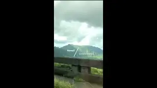 Hawaii | United States | Driver around beautiful road | #shorts