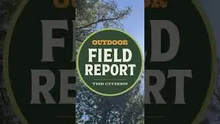 Owen Woods Alamosa Rock Creek Trail Field Report