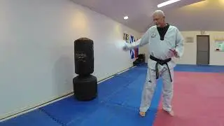 Taekwondo Step and Back Spin Sidekick demonstration