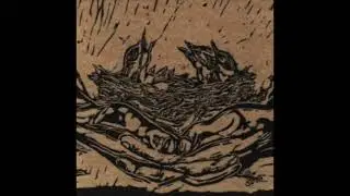 Tiny Hawks - Fingers Become Bridges