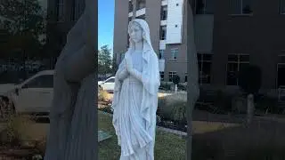 Ave Maria (Latin) | Prayer24Seven