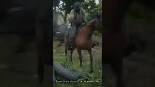 We lost the mission because of this red dead2#reddeadredemption
