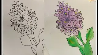 How to draw 'Water hyacinth' flower easy || #drawingbook #waterhyacinth #painting