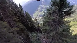 Flying Wingsuits Through Trees