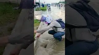 Emergency Drain Unclogging After Massive Rain