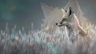 Cool fox wallpaper 