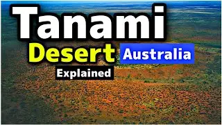 Tanami Desert Australia Explained in Urdu |  InsightfulLensTv