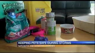 Storm safety tips for pet owners