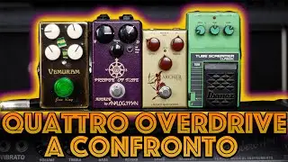 Ibanez TS10, J.Rockett Archer, Analog Man Prince Of Tone, Vemuram Jan Ray