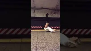 Girl Fitness Stunt 😍 #shorts #fitness #girl #sexy #gym #gymmotivation #train #backtobasics#backflip