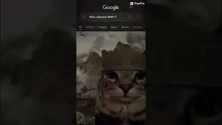 How it all started… #foryou #memes #cat #google
