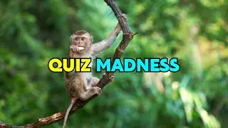 Free Guessing the Animal Quiz Video Template (Customizable) - FlexClip