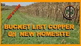 DOUBLE TROUBLE ON A NEW HOUSESITE BUCKET LIST COLONIAL COINAGE #metaldetecting #xpdeusii