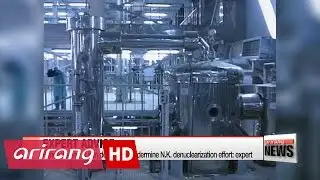 Renegotiation of Iran deal would undermine N.K. denuclearization effort: expert