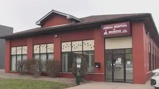 Rochester Emergency Veterinary Services officially opens