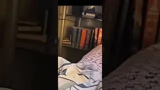 the rat won't leave me alone