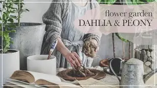 BACKYARD CUT FLOWER GARDEN | Sprouting DAHLIA tuber & Planting PEONY roots | slow living silent vlog
