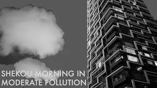 Shekou Morning in Moderate Pollution