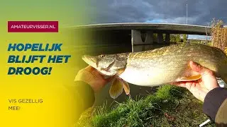 SNOEKVISSEN op de RIVIER