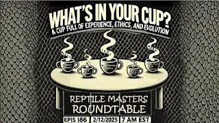 Reptile Masters Roundtable: A Cup Full Of Experience, Ethics, And Evolution WIYC ep.186