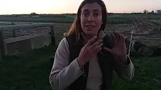 Aceites esenciales en la Nutricion del Caballo Omega 3-9 y Omega 6