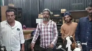 Hyderabadi