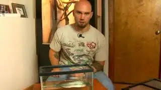 How to Care for Tiger Salamander Larvae