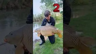 carpfishing, partenze e carpe da record insieme a mio pap&aacute; #pesca #carpfishing #carp #fishing