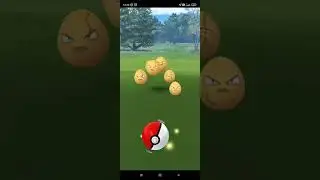 2x Shiny Exeggcute Caught During An Egg-citing Spring Surprise Compensation Event! #pokemongo