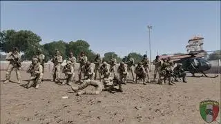 COUGAR SPECIAL FORCE - ARMA 3 CLAN ITALIANO
