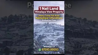 1 Nali Land For Sale in Mukteshwar Nainital Himalaya View Property Pollution Free Best Deal ActFast