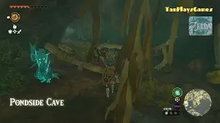 Pondside Cave BubbulFrog Location : Zelda Tears of The Kingdom.